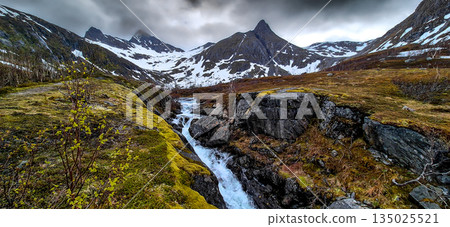 Wild River With Waterfall From Snowy Mountains On Senja Island In Norway 135025521