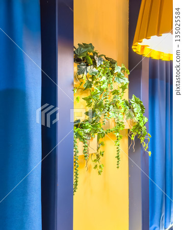 Modern room setting highlighted by plant arrangements and warm lighting Modern room setting highlighted by plant arrangements and warm lighting 135025584