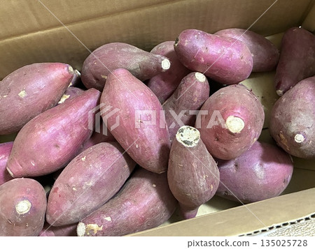 Freshly harvested sweet potatoes in a cardboard box Freshly harvested sweet potatoes in a cardboard box 135025728