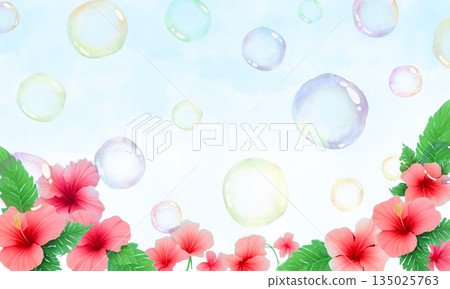 芙蓉花背景，飛舞的肥皂泡 135025763