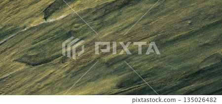 Abstract Dark Green and Gold Painted Texture Background with Metallic Brush Strokes Abstract Dark Green and Gold Painted Texture Background with Metallic Brush Strokes 135026482