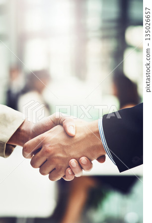 Partnership, welcome and team shaking hands in office after corporate meeting or interview. Collaboration, deal and closeup of business people with handshake for greeting or introduction in workplace 135026657