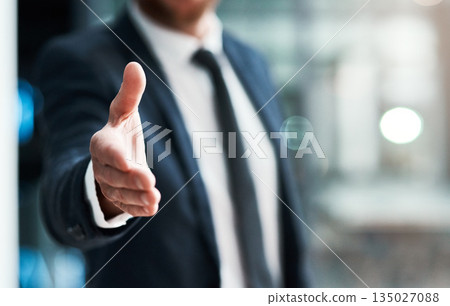 Handshake, offer and success of business man partnership, agreement or introduction, hiring and welcome. Professional person shaking hands in pov meeting, crm deal or congratulations and thank you 135027088