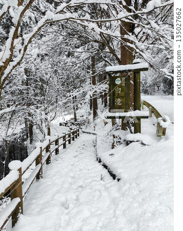 橫屋峽（冬季）：白瀧瀑布 135027662