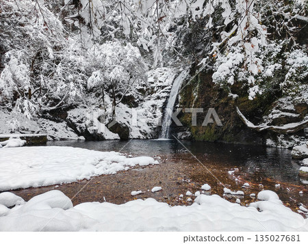 Yokoya Gorge (winter): Shirataki waterfall Yokoya Gorge (winter): Shirataki waterfall 135027681