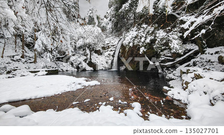 橫屋峽（冬季）：白瀧瀑布 135027701