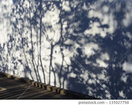 The shadow of the tree reflected on the wall The shadow of the tree reflected on the wall 135027798