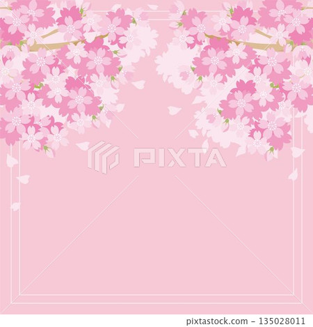 Cherry blossoms in full bloom frame background. Spring Japanese-style vector material that can be used to celebrate graduation, entrance, and cherry blossom viewing. 135028011