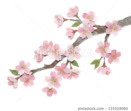 Paper cut-out style illustration of cherry blossoms and branches made with Japanese paper 135028060