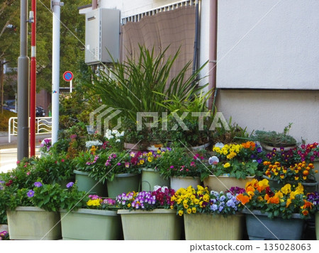 Earth front gardening 135028063