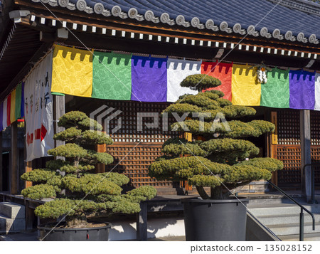 為迎接新年而裝飾的寺廟鎖鏈殿 135028152