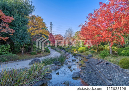 A walkway in a park on a sunny autumn day and a babbling brook colored by autumn leaves A walkway in a park on a sunny autumn day and a babbling brook colored by autumn leaves 135028196