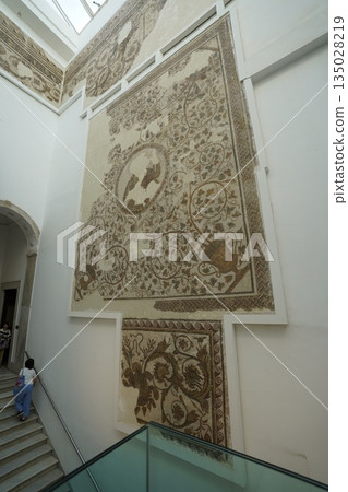 Tunis Bardo Museum 135028219