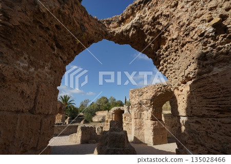 Carthage ruins Carthage ruins 135028466
