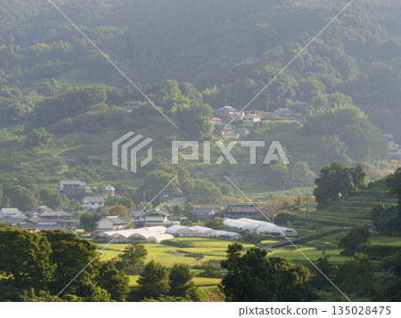 Asuka Village's rice terraces shrouded in mist Asuka Village's rice terraces shrouded in mist 135028475