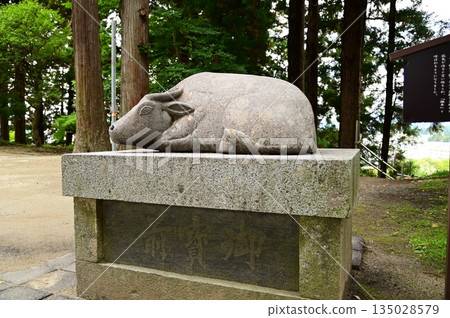 在盛岡天滿宮撫摸牛 135028579