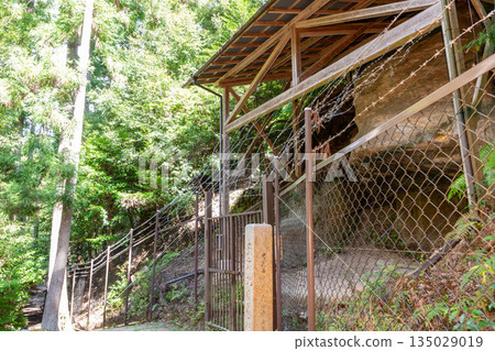 Jigokudani Cave Buddha 135029019