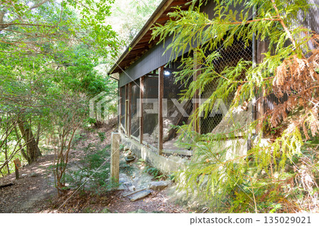 Kasugayama Caves Buddha 135029021