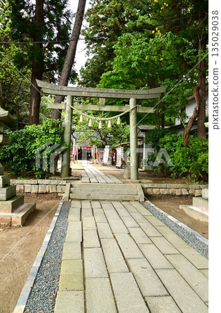 盛岡天滿宮,是外型獨特的獅犬的所在地 盛岡天滿宮,是外型獨特的獅犬的所在地 135029038