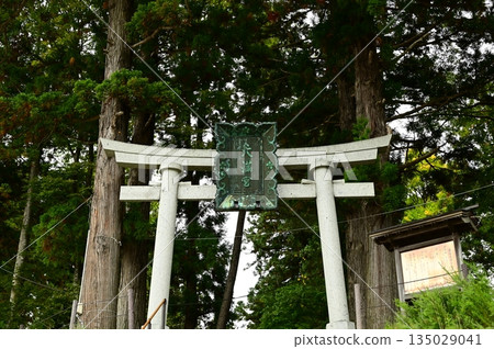 盛岡天滿宮,是外型獨特的獅犬的所在地 盛岡天滿宮,是外型獨特的獅犬的所在地 135029041