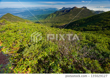 從八嶽山脈的赤和之門眺望天狗岳、立科岳和北阿爾卑斯山脈 135029127