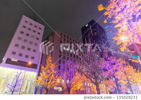 Illuminations of Midosuji Illuminations of Midosuji 135029231