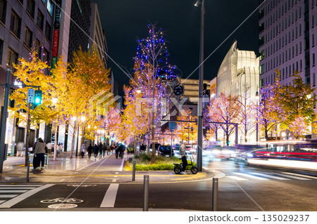 Illuminations of Midosuji 135029237