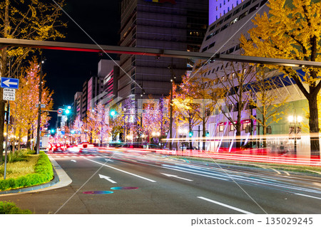 禦堂筋的照明 135029245