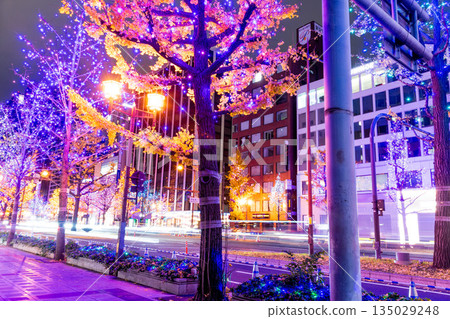 Illuminations of Midosuji 135029248