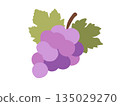 Cute grape illustration 135029270