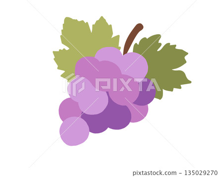 Cute grape illustration Cute grape illustration 135029270