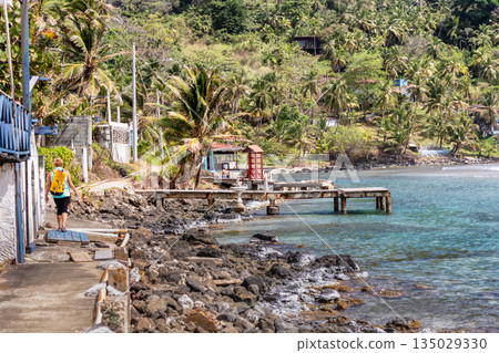 Palm trees, sea and houses in Isla Grande shore. Colon province, Panama, Caribbean, Central America. Palm trees, sea and houses in Isla Grande shore. Colon province, Panama, Caribbean, Central America. 135029330