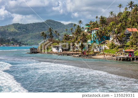 Palm trees, sea and houses in Isla Grande shore. Colon province, Panama, Caribbean, Central America. 135029331