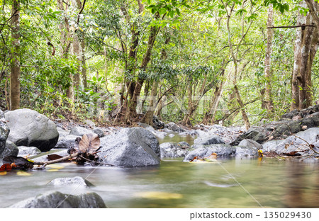 Cerro Canajagua National Park located in Azuero Peninsula in Panama Cerro Canajagua National Park located in Azuero Peninsula in Panama 135029430