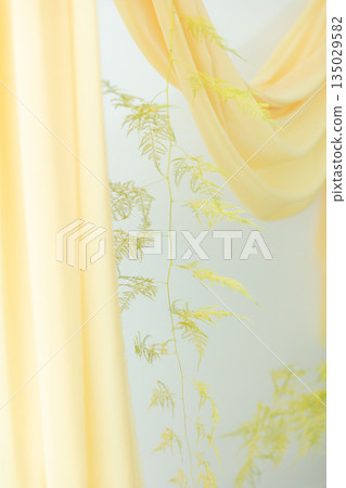 Yellow curtain 135029582