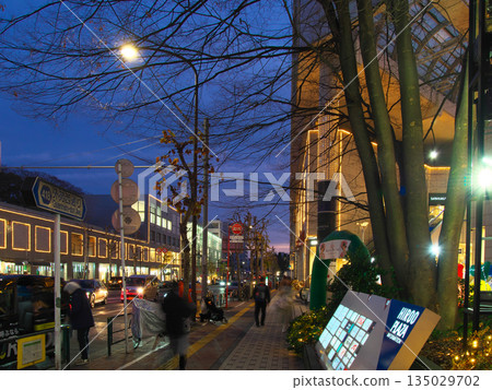 2025年12月,廣尾市新年夜景 2025年12月,廣尾市新年夜景 135029702