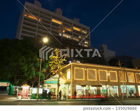 廣尾除夕夜景(外苑西通:廣橋十字路口附近)城市景觀(2025年12月) 廣尾除夕夜景(外苑西通:廣橋十字路口附近)城市景觀(2025年12月) 135029888