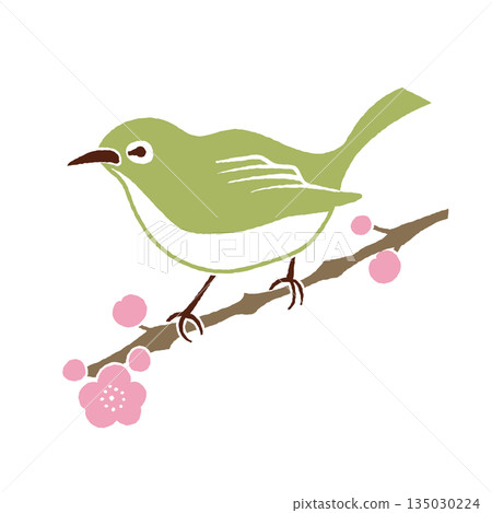 剪紙風格的梅枝和繡眼鳥,春季野生鳥類 剪紙風格的梅枝和繡眼鳥,春季野生鳥類 135030224