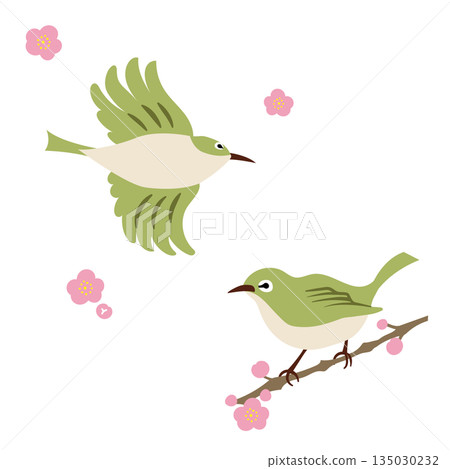 Watercolor texture set of Japanese white-eye and plum blossoms. Spring wild birds. Watercolor texture set of Japanese white-eye and plum blossoms. Spring wild birds. 135030232