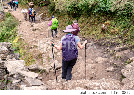 Trekkers on the trail to Phakding village on the Everest base camp trek, Nepal. Trekkers on the trail to Phakding village on the Everest base camp trek, Nepal. 135030832