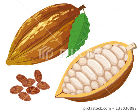 Cacao Cacao 135030882