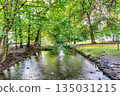 The river in the Park located just by famous cathedral in Gdansk, Oliwa, Poland 135031215