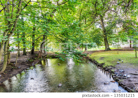 The river in the Park located just by famous cathedral in Gdansk, Oliwa, Poland 135031215