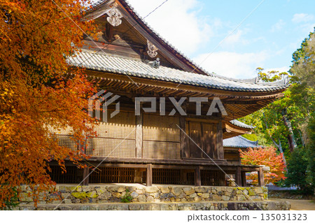 Autumn foliage at Shoshazan Engyo-ji Temple in Himeji, Hyogo Prefecture Autumn foliage at Shoshazan Engyo-ji Temple in Himeji, Hyogo Prefecture 135031323