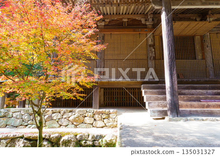 兵庫縣姬路市書寫山圓教寺的秋葉 135031327