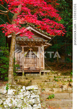兵庫縣姬路市書寫山圓教寺的秋葉 兵庫縣姬路市書寫山圓教寺的秋葉 135031331