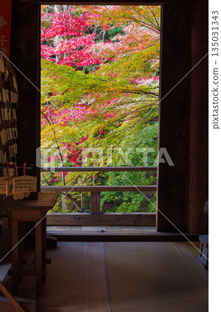 兵庫縣姬路市書寫山圓教寺的秋葉 兵庫縣姬路市書寫山圓教寺的秋葉 135031343