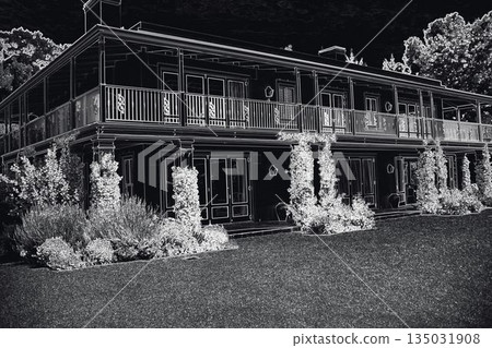 Two-story house is standing in flat vector design with wrap-around balcony columns, vines, shrubs 135031908