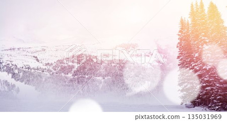 Snowcapped mountains with bokeh in foreground Snowcapped mountains with bokeh in foreground 135031969