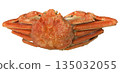 Snow crab 135032055